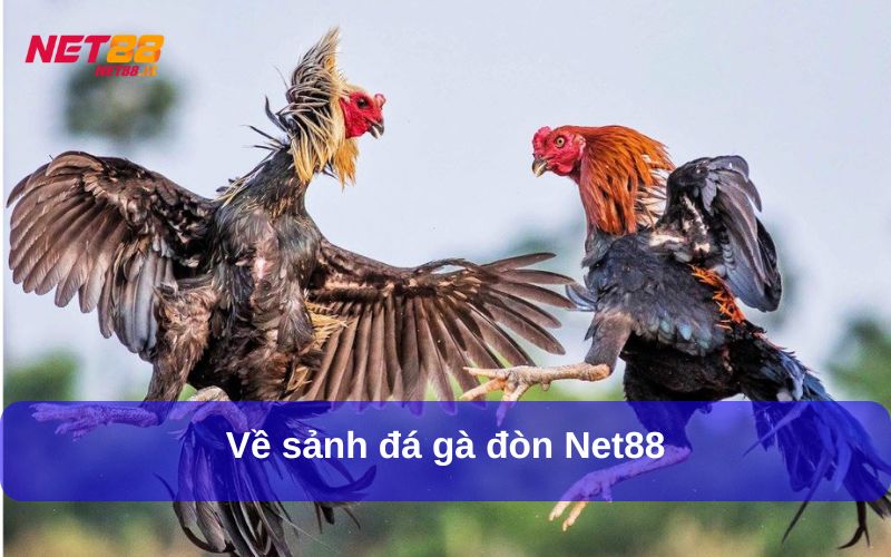 Về sảnh đá gà đòn Net88