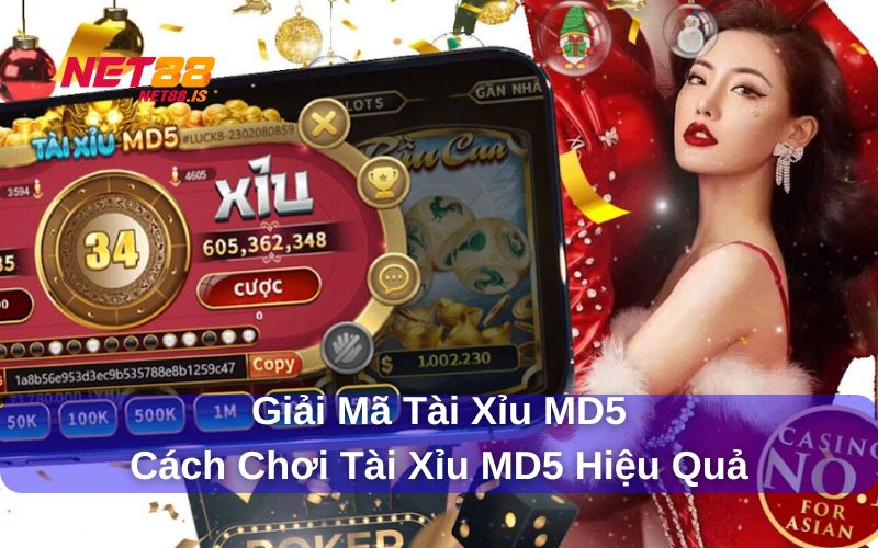 Cách chơi tài xỉu MD5 thắng nhà cái