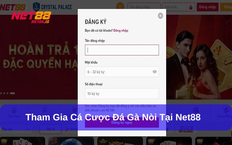 Vào sảnh đá gà để chọn các trận đấu đá gà nòi kịch tính