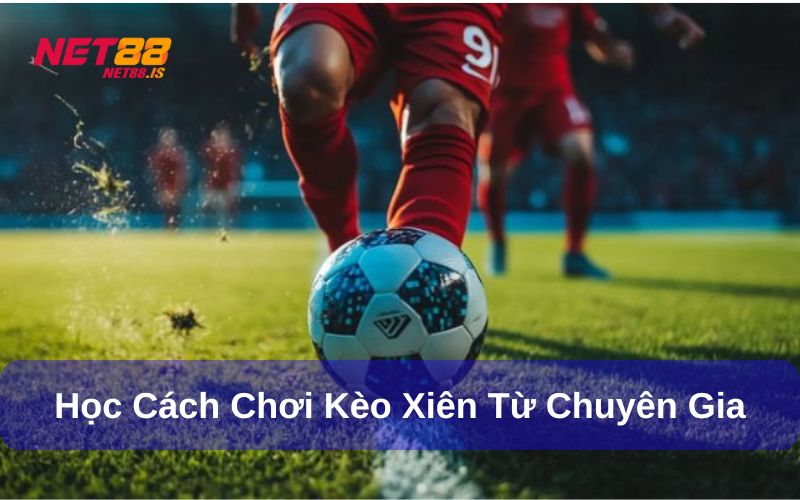 Hãy chú ý học hỏi cách chơi đa dạng từ nhiều người