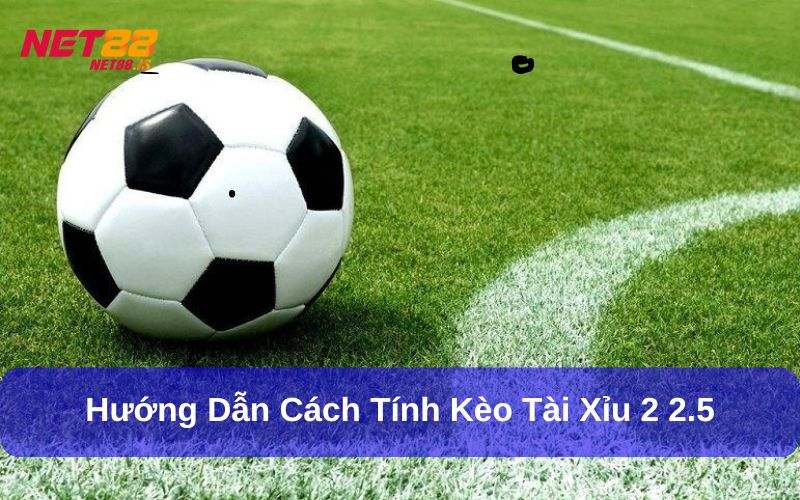 Hướng dẫn cách tính kèo tài xỉu 2 2.5