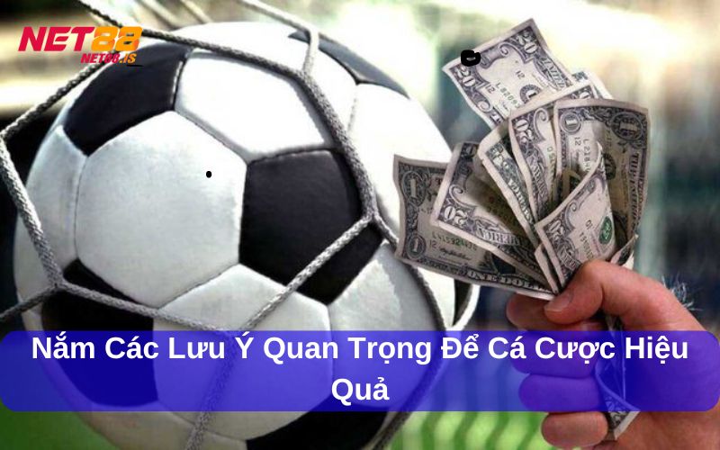 Nắm các lưu ý quan trọng để cá cược hiệu quả