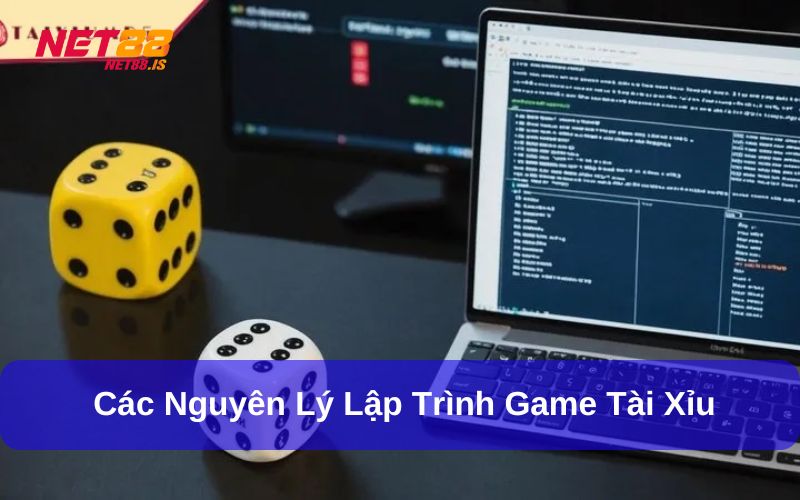 Nguyên lý lập trình game tài xỉu tạo sự công bằng cho người chơi