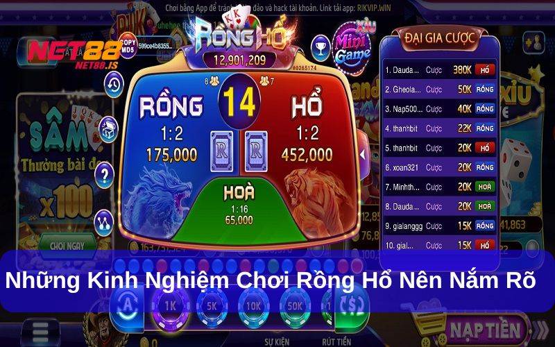 Áp dụng chiến thuật khi chơi Rồng Hổ rất quan trọng