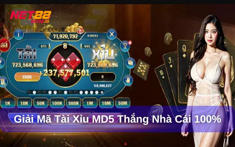 Giải mã việc tài xỉu MD5 thắng nhà cái 100%